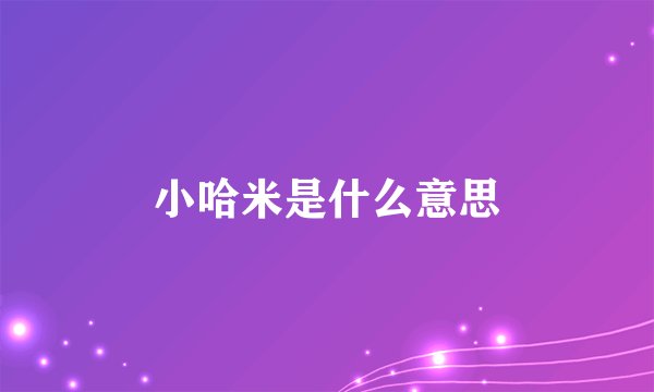 小哈米是什么意思